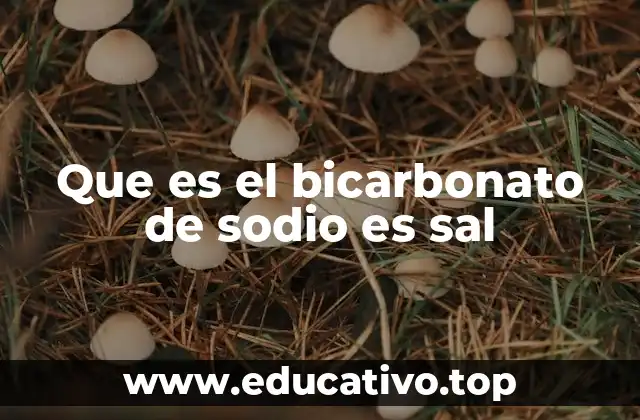 Que es el bicarbonato de sodio es sal