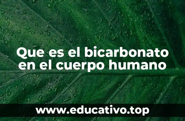 Que es el bicarbonato en el cuerpo humano
