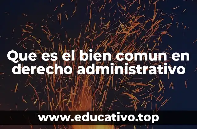 Que es el bien comun en derecho administrativo