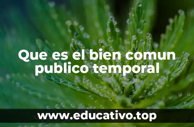 Que es el bien comun publico temporal