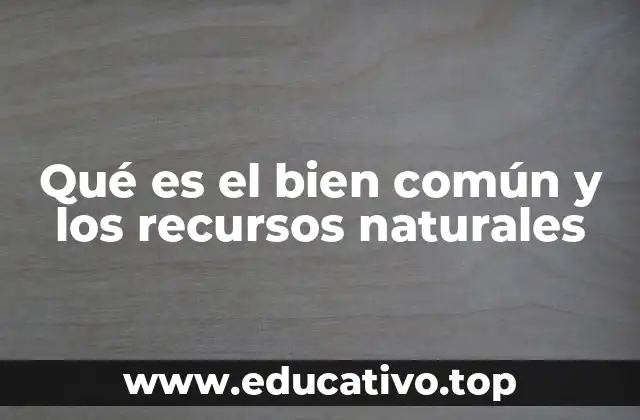 Qué es el bien común y los recursos naturales