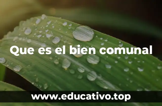 Que es el bien comunal