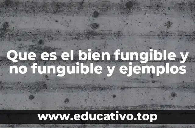 Que es el bien fungible y no funguible y ejemplos