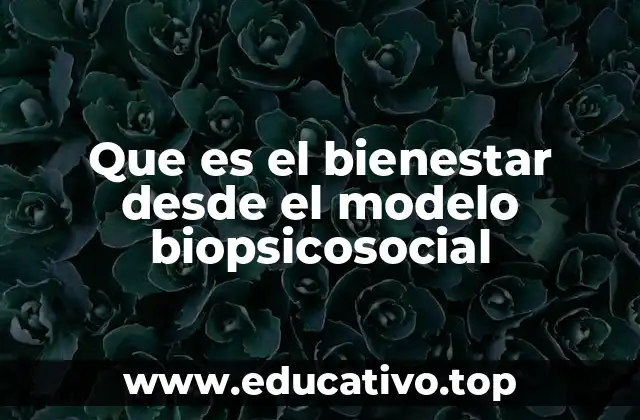 Que es el bienestar desde el modelo biopsicosocial