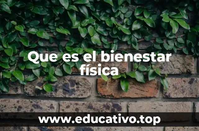 Que es el bienestar física
