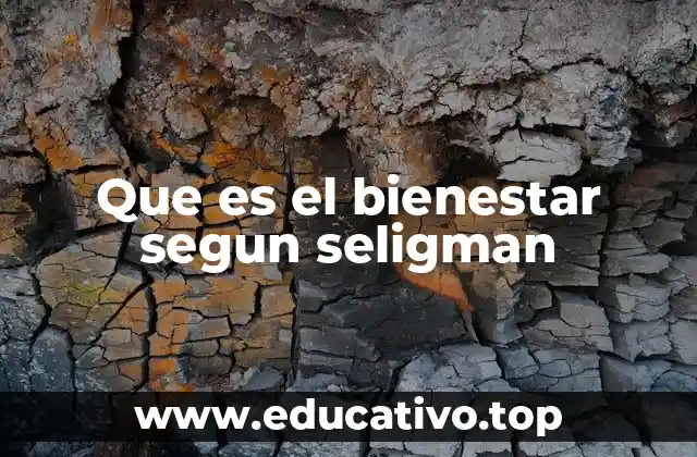 Que es el bienestar segun seligman