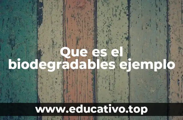 Que es el biodegradables ejemplo