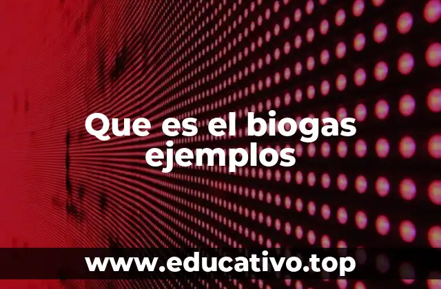Que es el biogas ejemplos