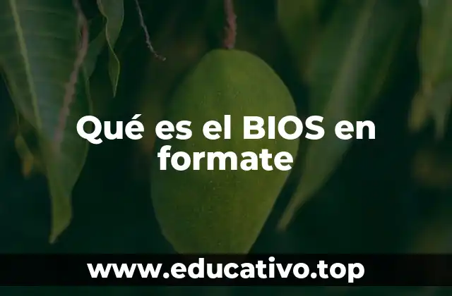 Qué es el BIOS en formate