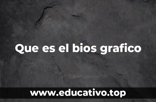 Que es el bios grafico