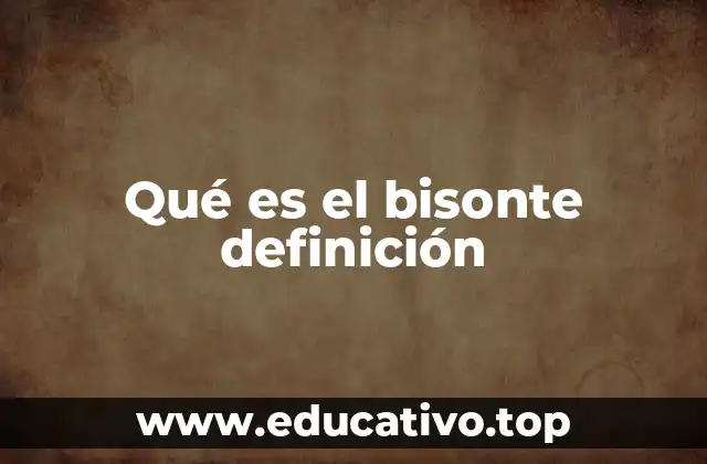 Qué es el bisonte definición