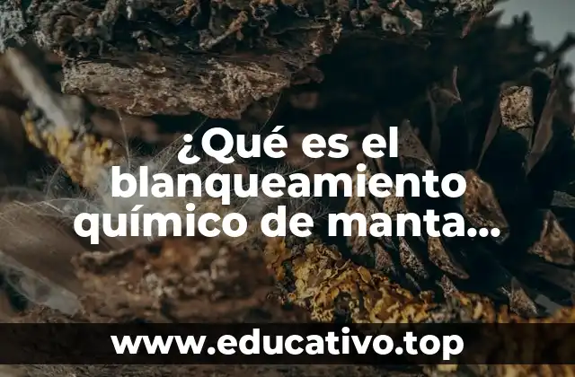 El papel del blanqueamiento en la fabricación de textiles