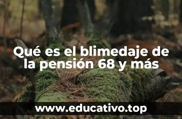 Qué es el blimedaje de la pensión 68 y más