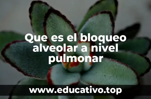 Causas y mecanismos del bloqueo alveolar