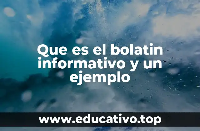 Que es el bolatin informativo y un ejemplo