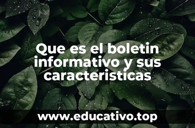 Que es el boletin informativo y sus caracteristicas