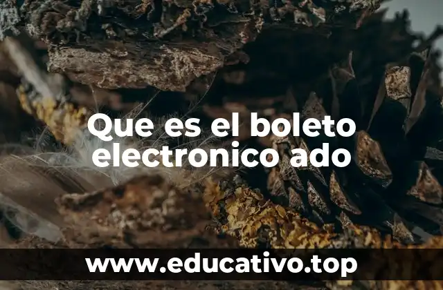 Que es el boleto electronico ado