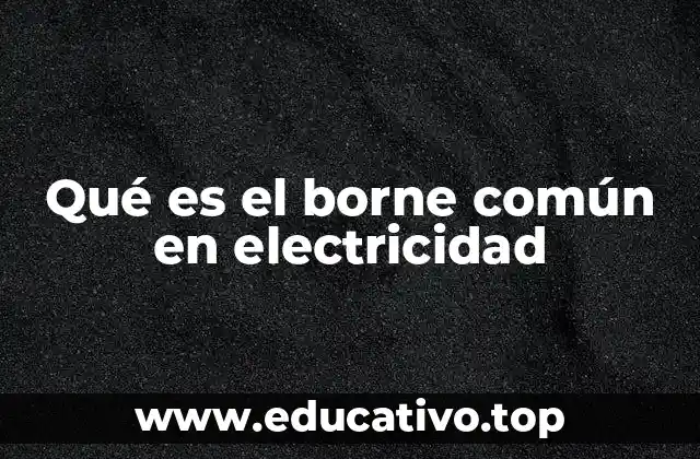 El papel del borne común en la estabilidad de los circuitos