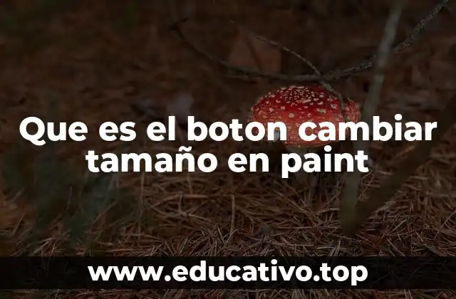 Que es el boton cambiar tamaño en paint