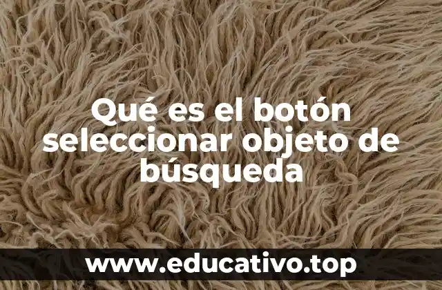 Funcionalidad y propósito del botón seleccionar objeto de búsqueda