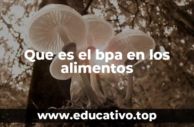 Que es el bpa en los alimentos