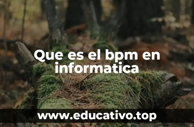 La importancia de la automatización de procesos en el entorno empresarial