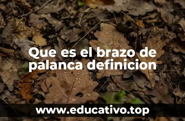 El papel del brazo de palanca en la mecánica clásica