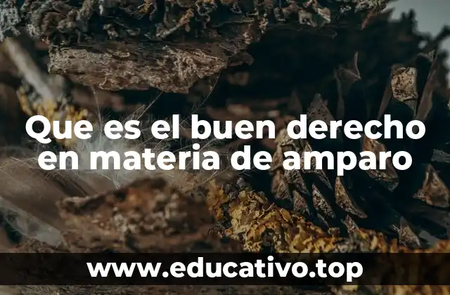 Que es el buen derecho en materia de amparo