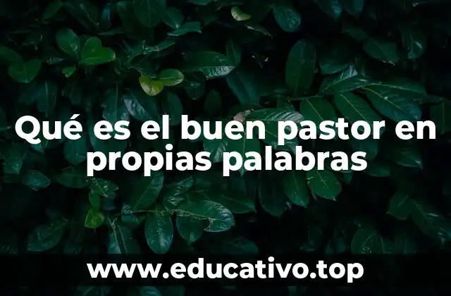 Qué es el buen pastor en propias palabras
