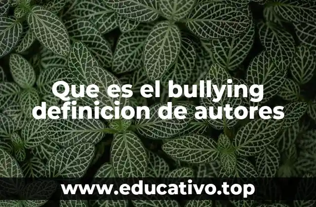 Que es el bullying definicion de autores
