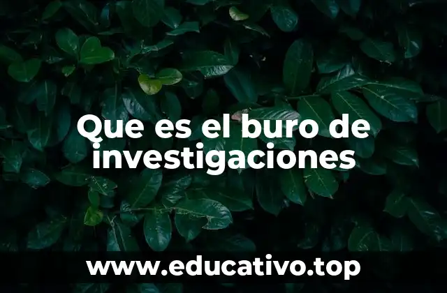 Que es el buro de investigaciones