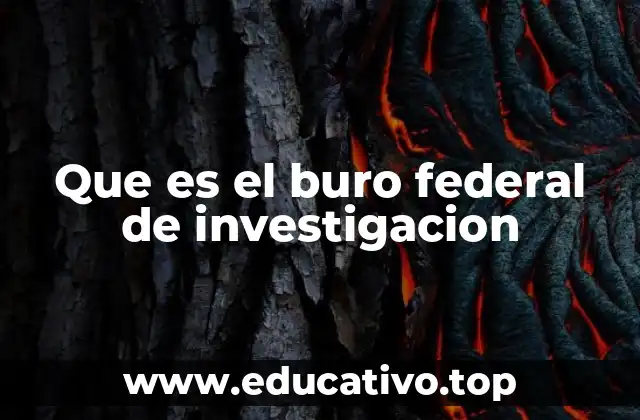 Que es el buro federal de investigacion