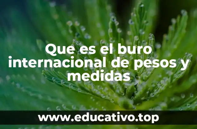 Que es el buro internacional de pesos y medidas
