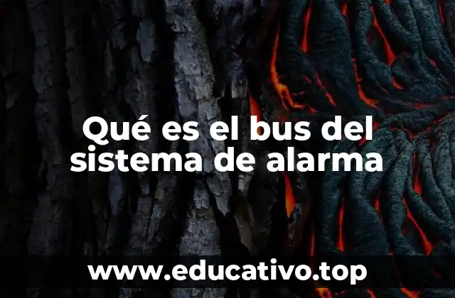 Qué es el bus del sistema de alarma