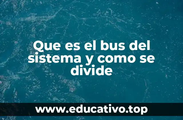 Que es el bus del sistema y como se divide