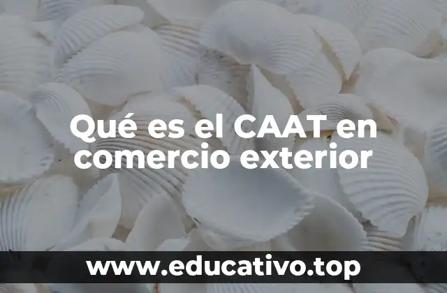 Qué es el CAAT en comercio exterior