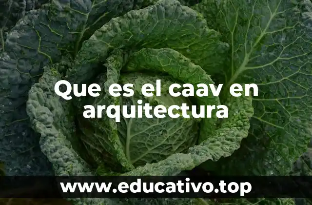 Que es el caav en arquitectura