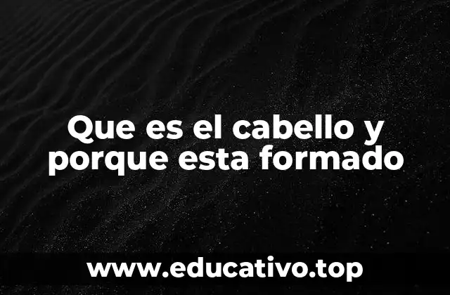 Que es el cabello y porque esta formado