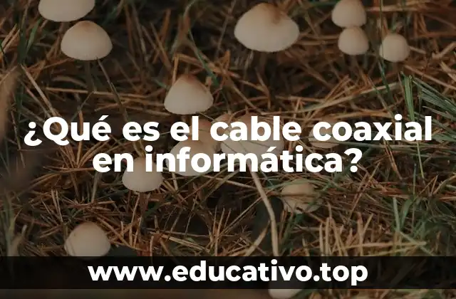 ¿Qué es el cable coaxial en informática?