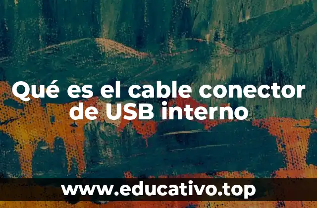 Qué es el cable conector de USB interno