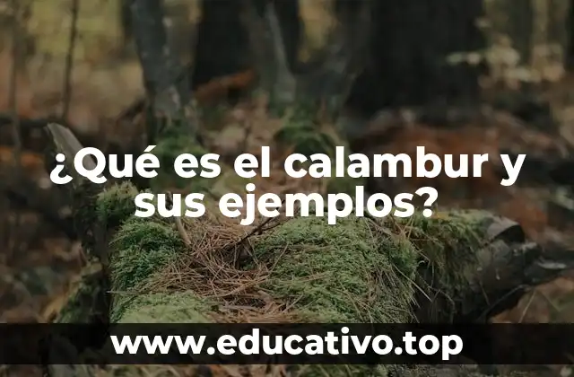 ¿Qué es el calambur y sus ejemplos?