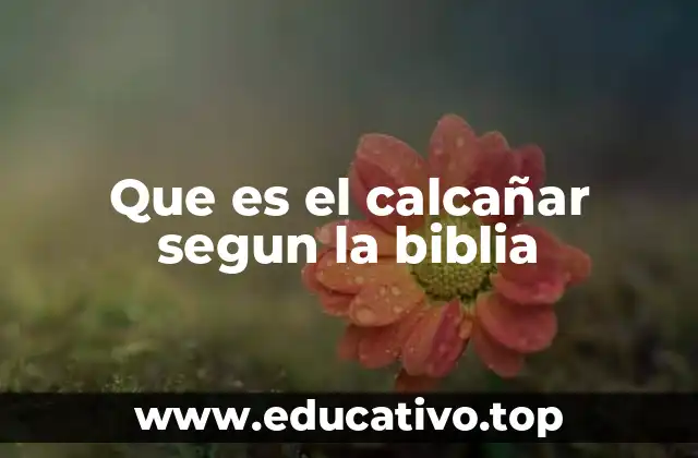 Que es el calcañar segun la biblia
