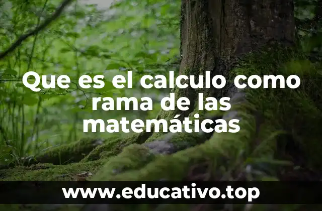 Que es el calculo como rama de las matemáticas