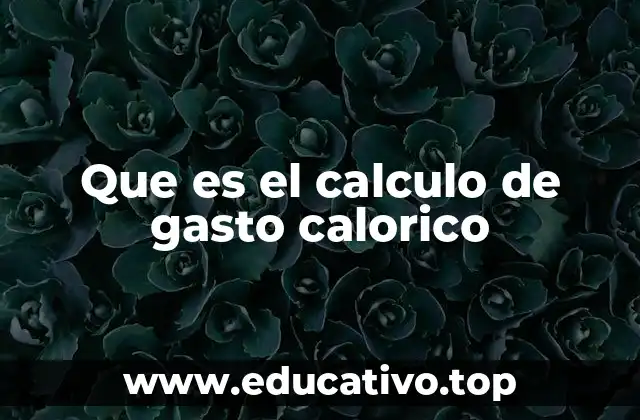 Que es el calculo de gasto calorico