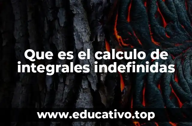 Que es el calculo de integrales indefinidas