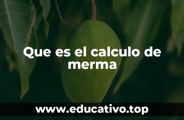 Que es el calculo de merma