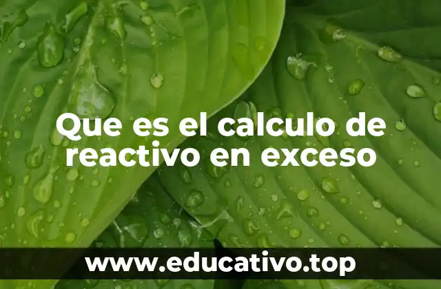 Que es el calculo de reactivo en exceso
