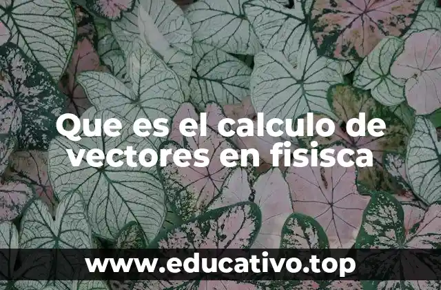 Que es el calculo de vectores en fisisca