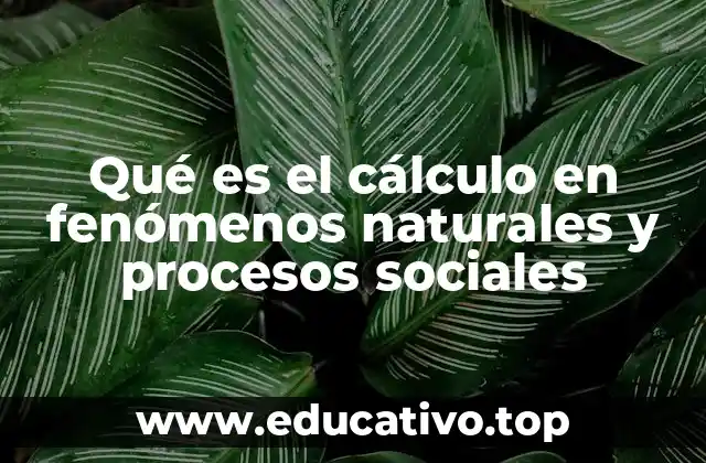 Qué es el cálculo en fenómenos naturales y procesos sociales