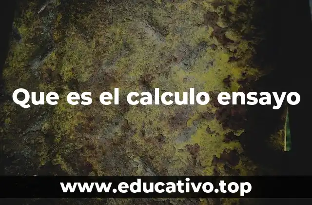 Que es el calculo ensayo
